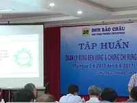 Quản lý rừng bền vững - Hướng mở cho kinh tế rừng