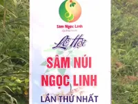 Nam Trà My (Quảng Nam) sẵn sàng cho Lễ hội sâm núi Ngọc Linh