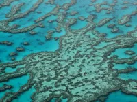 Rạn san hô Great Barrier Reef được định giá 56 tỷ USD