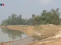 Sạt lở h&agrave;ng trăm ha đất n&ocirc;ng nghiệp v&ugrave;ng ven Đ&agrave; Nẵng