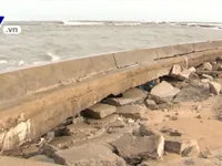 Triều cường g&acirc;y sạt lở nghi&ecirc;m trọng tuyến đ&ecirc; biển ở Ninh Thuận