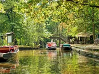 Lạc bước tới Spreewald - Venice của nước Đức