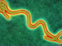 WHO xác nhận ca nhiễm virus Ebola thứ hai tại CHDC Congo