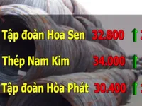 Cổ phiếu ngành tôn tăng mạnh sau quyết định áp thuế