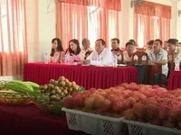 Nông dân miền Tây lập sàn giao dịch trái cây