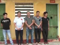 Bắt giữ c&aacute;c đối tượng đ&agrave;o hầm trộm cắp linh kiện điện tử ở Bắc Giang