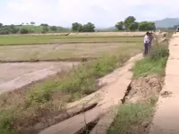 Đăk Lăk: Tuyến đê bao Quảng Điền sạt lở nghiêm trọng