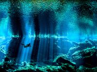 Ngỡ ngàng thế giới dưới nước đầy kỳ ảo qua ống kính máy ảnh
