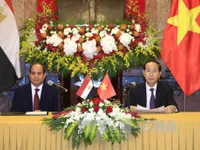 Chủ tịch nước Trần Đại Quang hội đàm với Tổng thống Ai Cập Abdel Fattah Al Sisi