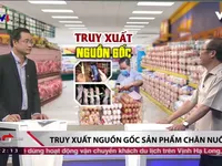 Đề án truy xuất nguồn gốc các sản phẩm chăn nuôi được thực hiện như thế nào?