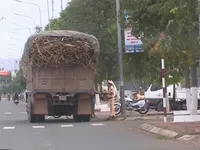 Đăk Lăk: Xe quá khổ, quá tải 'tung hoành' trên nhiều tuyến đường