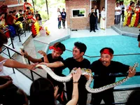 Thú vị ngôi nhà xiếc rắn Nha Trang Snake Show