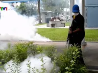 Singapore xác nhận thêm 2 ca nhiễm Zika