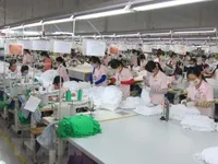 Over 96,600 new firms established in nine months