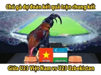 Chung kết U23 châu Á 2018: Gà 'tiên tri' dự đoán Việt Nam vô địch