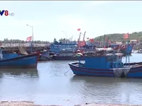 Nỗi lo thiếu nơi neo đậu t&agrave;u c&aacute; khi m&ugrave;a mưa b&atilde;o đến