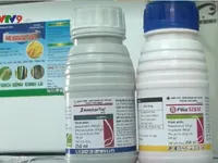 Nan giải chống hàng gian, hàng giả tại Cần Thơ