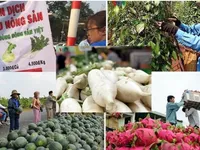 Hàng loạt siêu thị tham gia chiến dịch 'giải cứu' thanh long