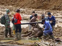 Indonesia: Lũ quét phá hủy trường tiểu học, cuốn trôi 29 học sinh