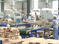 Ngành gỗ Việt sắp cán đích xuất khẩu 9 tỷ USD