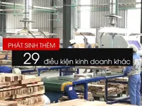 Chỉ 1/3 điều kiện kinh doanh được cắt giảm là thực chất