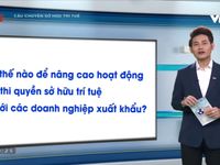 Làm thế nào để nâng cao hoạt động thực thi quyền sở hữu trí tuệ đối với các doanh nghiệp xuất khẩu?