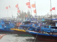 Quảng Nam: Sẽ n&acirc;ng cấp khu neo đậu tr&aacute;nh tr&uacute; b&atilde;o t&agrave;u c&aacute; An H&ograve;a