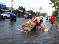 Bạc Liêu chủ động xây tường kè ngăn triều cường