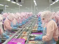 Xuất khẩu thủy sản đạt 7,2 tỷ USD