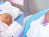 Giao lưu trực tuyến: “Thành tựu mới giúp tăng tỷ lệ thành công IVF - thụ tinh trong ống nghiệm”