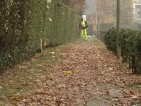 Thu gom lá rụng ở Brussels, Bỉ