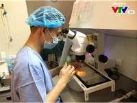 Vô sinh hiếm muộn: 50#phantram do nam giới