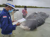 Indonesia nỗ lực giảm rác thải nhựa