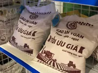 Năm 2018 - Năm khởi sắc của ngành lúa gạo Việt