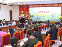 Năm 2018, giảm 515 ha rừng bị phá so với năm ngoái