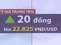 Tỷ giá trung tâm tăng mạnh