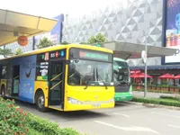 Đấu giá quảng cáo 1.590 xe bus: Không có nhà đầu tư tham gia