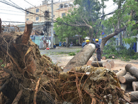 TP.HCM: Cây xanh ngã đổ khiến 4 người bị thương, đè bẹp 2 xe máy