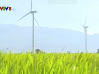 Xây dựng Ninh Thuận thành trung tâm năng lượng tái tạo cả nước