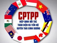 Đánh giá của chuyên gia nước ngoài về lợi ích của CPTPP