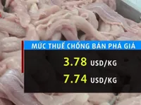 Thách thức cá tra Việt Nam khi Bộ Thương mại Mỹ đánh thuế khủng