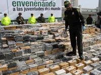 Colombia bắt giữ hơn 5 tấn cocaine giấu trong lô chuối