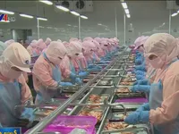 Tăng cường giám định hàng hóa xuất nhập khẩu