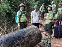 Quảng Nam đình chỉ công tác 6 cán bộ kiểm lâm liên quan đến 2 vụ phá rừng
