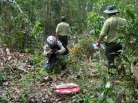 Kon Tum: Lâm tặc sử dụng vũ khí nóng, uy hiếp, đánh nhân viên bảo vệ rừng