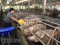 CPI tháng 5 cao nhất trong 6 năm qua