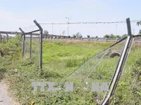 Nguy hiểm tình trạng phá hàng rào cao tốc TP.HCM - Trung Lương