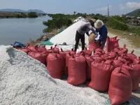 Muối rớt giá xuống 600 đồng/kg, diêm dân Phú Yên gặp khó