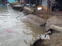 Sạt lở bờ sông ở Cà Mau, 3 ngôi nhà bị nhấn chìm