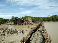 Sạt lở nghiêm trọng đê quốc phòng tại Kiên Giang